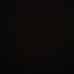 Meet your Posher, Shaelyn